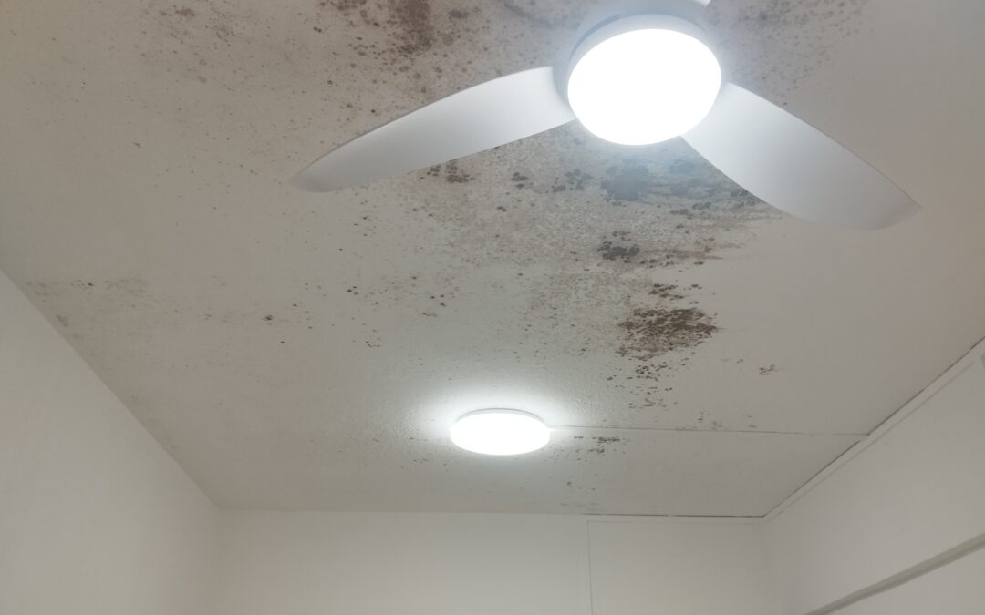 Ceiling leak water stain in Singapore HDB bathroom caused by waterproofing failure