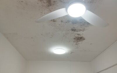 Common Causes of Ceiling Leaks in Singapore Homes